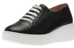 Hot Wonders A8322 Sauvage Negro