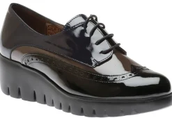 Best Wonders C3350 Char Navy Pat
