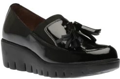 New Wonders C3342 Nergo Patent
