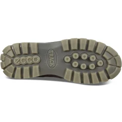 Discount Ecco Men's Track 25 Bison Brown Leather Gore-Tex Waterproof Shoe
