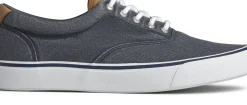 Online Sperry Striper Ii Cvo Navy Canvas Lace-Up Sneaker