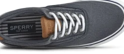 Online Sperry Striper Ii Cvo Navy Canvas Lace-Up Sneaker